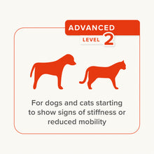 Load image into Gallery viewer, Beaphar Flexifit Cat & Dog Paste Joint Supplement To Aid Stiff Joints