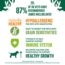 Load image into Gallery viewer, James Wellbeloved Grain Free Puppy Dog Food Turkey in Gravy Pouch 90g x 12