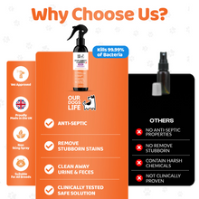 Load image into Gallery viewer, Our Dogs Life Hypochlorous Carpet Spot Cleaner 250ml