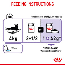 Load image into Gallery viewer, Royal Canin Appetite Control Care in Jelly Adult Wet Cat Food For Cats 12 x 85g