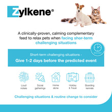Load image into Gallery viewer, Zylkene Calming Supplement for Cats and Dogs Up to 10kg