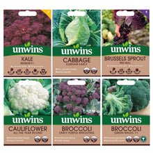 Load image into Gallery viewer, Unwins Brassica Family Seed Bundle