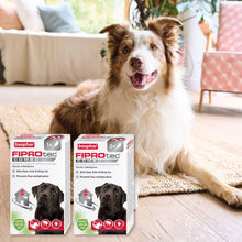 Load image into Gallery viewer, Beaphar FIPROtec Combo Spot On - Large Dogs 3 Pack
