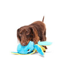 Load image into Gallery viewer, Bark Odd Otto Dog Toy