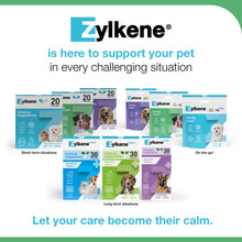 Load image into Gallery viewer, Zylkene Calming Supplement for Dogs 10-30kg