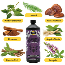 Load image into Gallery viewer, Proflax Kidney Care Tincture Supplement