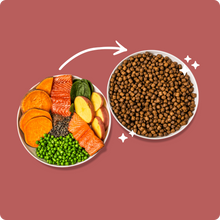Load image into Gallery viewer, Green Pantry Digestion Support Natural Dog Food Trout with Salmon