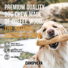 Load image into Gallery viewer, Canophera Dog Chew Stick Made Of Coffee Wood Large