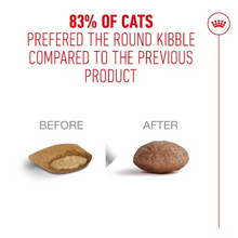 Load image into Gallery viewer, Royal Canin FHN Ageing 11+ Sterilised Cat Food