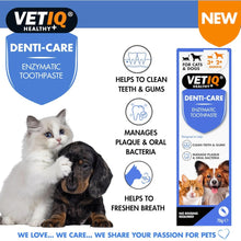 Load image into Gallery viewer, VETIQ Denti-Care Enzymatic Toothpaste 70g