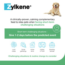 Load image into Gallery viewer, Zylkene Calming Supplement for Dogs 10-30kg