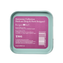 Load image into Gallery viewer, Burgon & Ball Asteraceae Herb Set