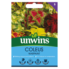 Load image into Gallery viewer, Coleus Warpaint