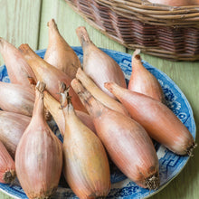 Load image into Gallery viewer, Unwins Pickling Veg Seed Bundle