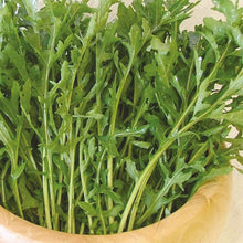 Load image into Gallery viewer, Unwins Cut-and-Come-Again Veg Seed Bundle
