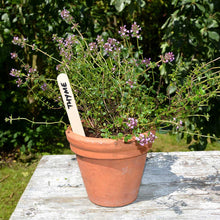 Load image into Gallery viewer, Growers Choice Wooden Plant Labels 150mm x 17mm 25pk