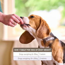 Load image into Gallery viewer, Beaphar One Dose Dog Wormer - 6-20kg 2 Tablets