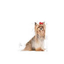 Load image into Gallery viewer, Royal Canin Yorkshire Terrier 8+ 1.5kg