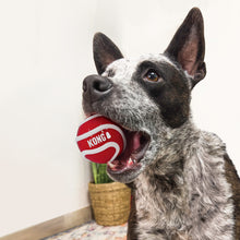 Load image into Gallery viewer, KONG Signature Balls 3-pk Assorted Large