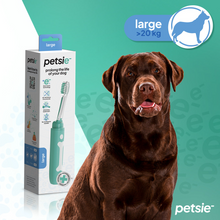 Load image into Gallery viewer, Petsie Revolutionary Electrolysis Dog Toothbrush