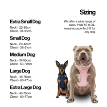 Load image into Gallery viewer, Our Dogs Life Magnetic Lock Lead & Harness Set: Black