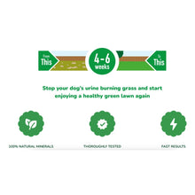 Load image into Gallery viewer, Peterals Eco-Friendly Rocks For Dog Urine Burn Patches