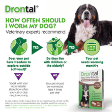 Load image into Gallery viewer, Drontal Tasty Bone XL Wormer Tablets, Convenient for Large Dogs (Over 20kg), All Pack Sizes