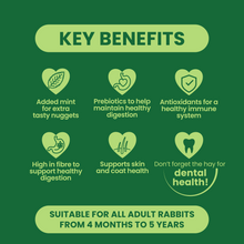 Load image into Gallery viewer, Burgess Excel Adult Rabbit Nuggets with Mint