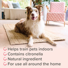 Load image into Gallery viewer, Beaphar Pet Behave Spray 125ml