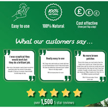 Load image into Gallery viewer, Peterals Eco-Friendly Rocks For Dog Urine Burn Patches