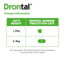 Load image into Gallery viewer, Drontal Wormer Tablets for Large Cats - 6kg And Over - All Pack Sizes
