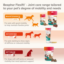 Load image into Gallery viewer, Beaphar Flexifit Dog Chews Advanced Joint Supplement