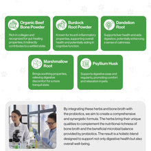 Load image into Gallery viewer, ProBioPets Daily Probiotic Immune Powder 100g