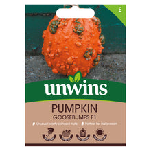 Load image into Gallery viewer, Pumpkin Goosebumps F1