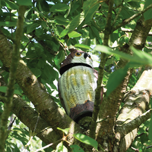 Load image into Gallery viewer, The Big Cheese Wind-Action Owl