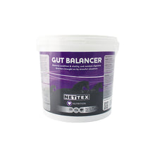 Load image into Gallery viewer, Nettex Equine Horse Gut Balancer Supplement