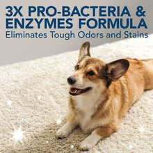 Load image into Gallery viewer, Simple Solution Stain and Odour Remover for Dogs 500ml