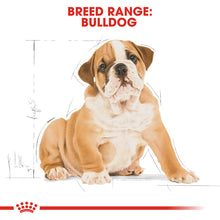 Load image into Gallery viewer, Royal Canin Dry Dog Food Specifically For Puppy Bulldog - All Sizes