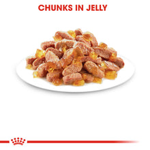 Load image into Gallery viewer, Royal Canin Wet Cat Food Kitten Pouch In Jelly 48 x 85g