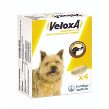 Load image into Gallery viewer, Veloxa Chewable Worming Tablets For Dogs