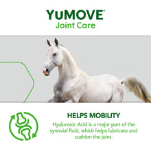 Load image into Gallery viewer, YuMOVE Joint Care for Horses