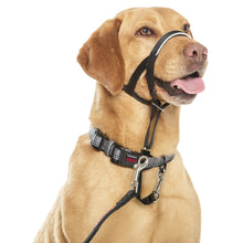Load image into Gallery viewer, Halti Dog Headcollar - Black