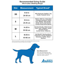 Load image into Gallery viewer, Company Of Animals Halti Walking Dog Collar