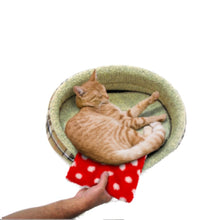 Load image into Gallery viewer, Petlife Microwavable Hottie Warm Heat Pad 8" x 9" For Pet Dog Cat Rabbit etc