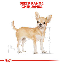 Load image into Gallery viewer, Royal Canin Dry Dog Food Specifically For Adult Chihuahua - All Sizes