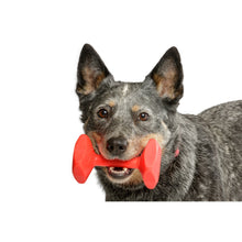 Load image into Gallery viewer, Company Of Animals Training Dumbell