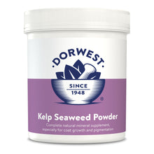 Load image into Gallery viewer, Dorwest Kelp Seaweed Powder