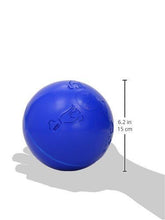 Load image into Gallery viewer, Company Of Animals Boomer Ball Dog Toy Assorted Colours All Sizes