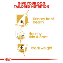 Load image into Gallery viewer, Royal Canin Dry Dog Food Specifically For Adult Bichon Frise 1.5kg