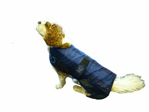Load image into Gallery viewer, Animate Pet Dog Cat Cooling Coat Jacket For Dogs